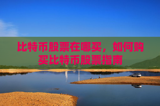 比特币股票在哪买，如何购买比特币股票指南