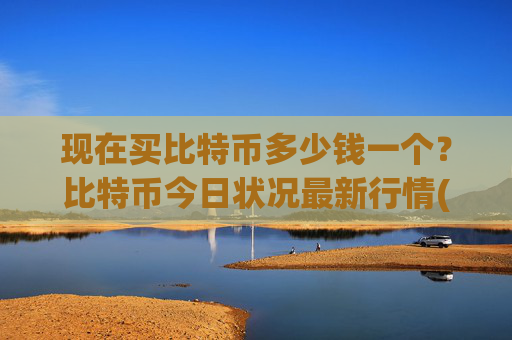 现在买比特币多少钱一个？比特币今日状况最新行情(现价749534.07元)