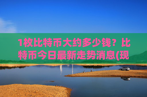 1枚比特币大约多少钱？比特币今日最新走势消息(现价745561.93元)