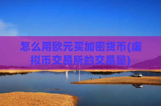 怎么用欧元买加密货币(虚拟币交易所的交易量)