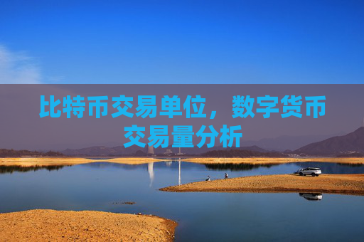 比特币交易单位，数字货币交易量分析
