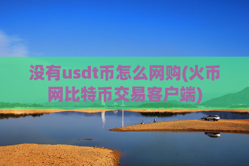 没有usdt币怎么网购(火币网比特币交易客户端)