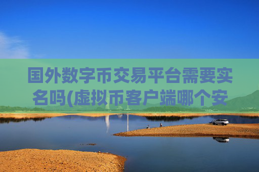 国外数字币交易平台需要实名吗(虚拟币客户端哪个安全)
