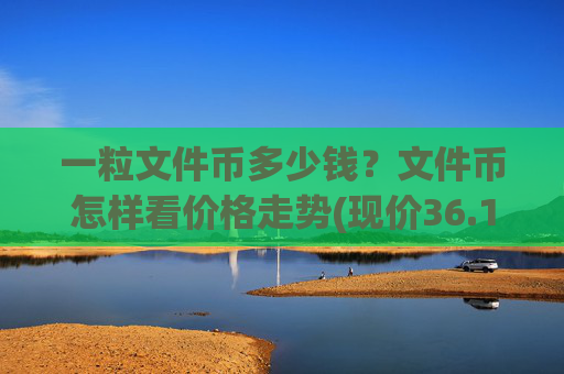 一粒文件币多少钱？文件币怎样看价格走势(现价36.1292元)