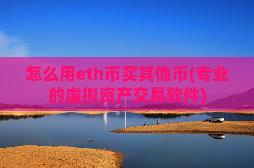 怎么用eth币买其他币(专业的虚拟资产交易软件)