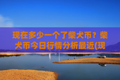 现在多少一个了柴犬币？柴犬币今日行情分析最近(现价0.0002301元)