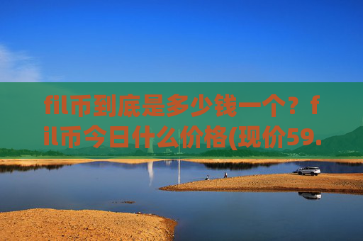 fil币到底是多少钱一个？fil币今日什么价格(现价59.463元)