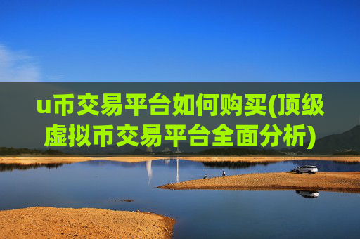 u币交易平台如何购买(顶级虚拟币交易平台全面分析)