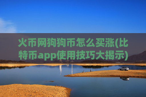 火币网狗狗币怎么买涨(比特币app使用技巧大揭示)