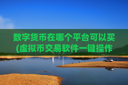 数字货币在哪个平台可以买(虚拟币交易软件一键操作)