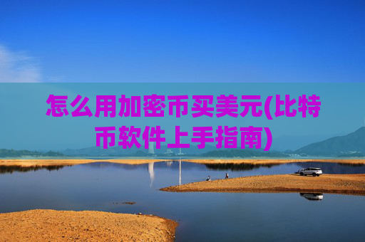 怎么用加密币买美元(比特币软件上手指南)