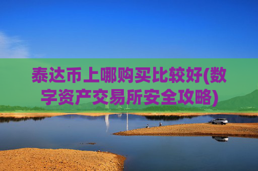 泰达币上哪购买比较好(数字资产交易所安全攻略)