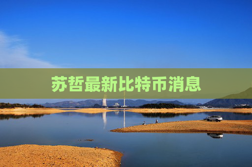 苏哲最新比特币消息