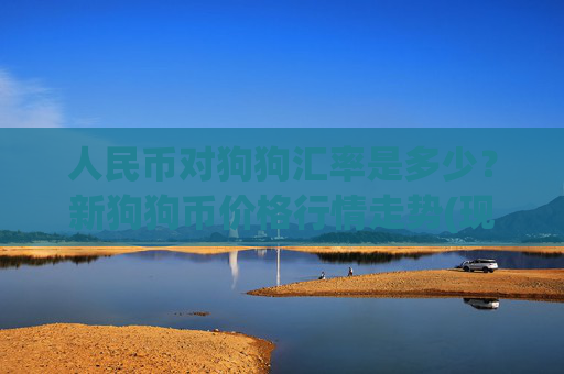 人民币对狗狗汇率是多少？新狗狗币价格行情走势(现价2.3616元)
