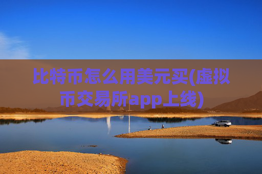比特币怎么用美元买(虚拟币交易所app上线)