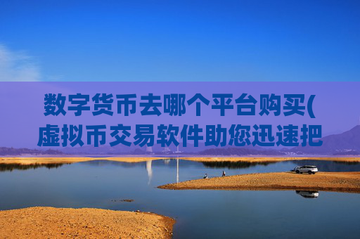 数字货币去哪个平台购买(虚拟币交易软件助您迅速把握市场)