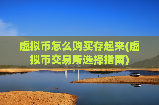 虚拟币怎么购买存起来(虚拟币交易所选择指南)