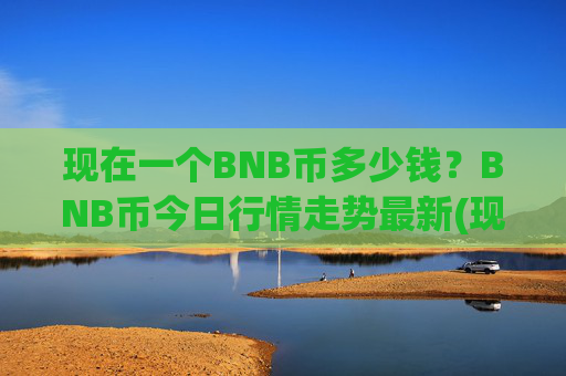 现在一个BNB币多少钱？BNB币今日行情走势最新(现价4840.2元)