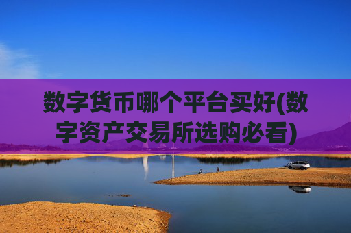 数字货币哪个平台买好(数字资产交易所选购必看)