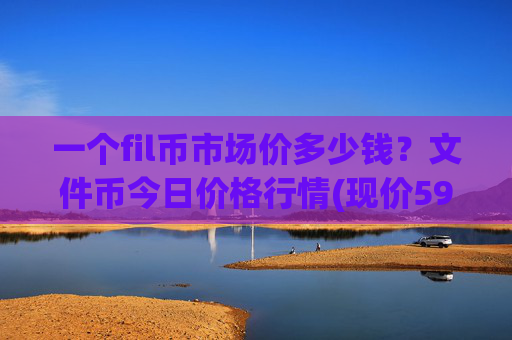 一个fil币市场价多少钱？文件币今日价格行情(现价59.9937元)