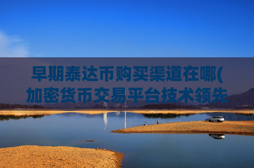 早期泰达币购买渠道在哪(加密货币交易平台技术领先)