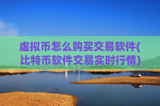 虚拟币怎么购买交易软件(比特币软件交易实时行情)