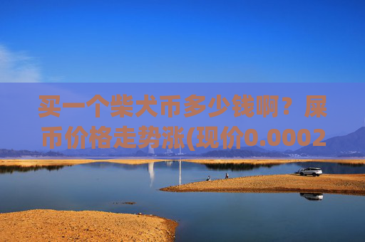 买一个柴犬币多少钱啊？屎币价格走势涨(现价0.00022938元)