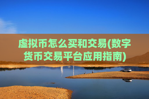 虚拟币怎么买和交易(数字货币交易平台应用指南)