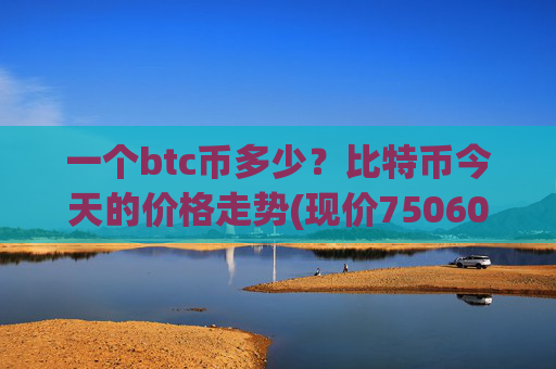 一个btc币多少？比特币今天的价格走势(现价750604.75元)