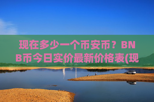 现在多少一个币安币？BNB币今日实价最新价格表(现价5303.83元)