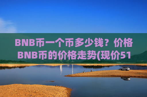 BNB币一个币多少钱？价格BNB币的价格走势(现价5195.85元)