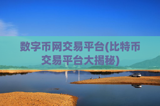 数字币网交易平台(比特币交易平台大揭秘)