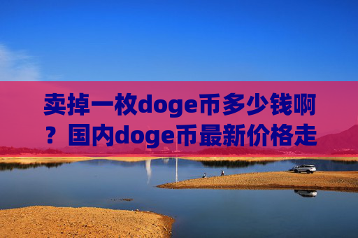 卖掉一枚doge币多少钱啊？国内doge币最新价格走势(现价3.1836元)