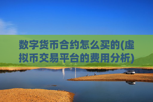 数字货币合约怎么买的(虚拟币交易平台的费用分析)
