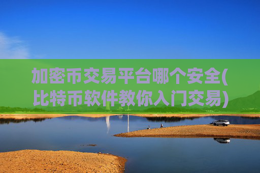 加密币交易平台哪个安全(比特币软件教你入门交易)