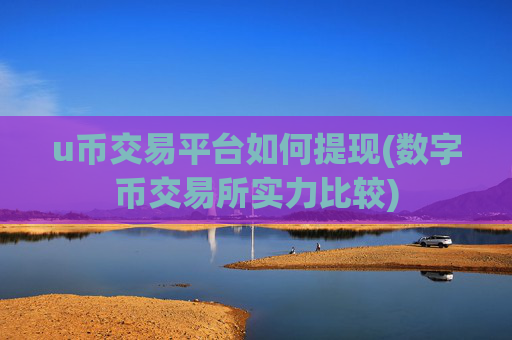 u币交易平台如何提现(数字币交易所实力比较)
