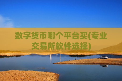 数字货币哪个平台买(专业交易所软件选择)