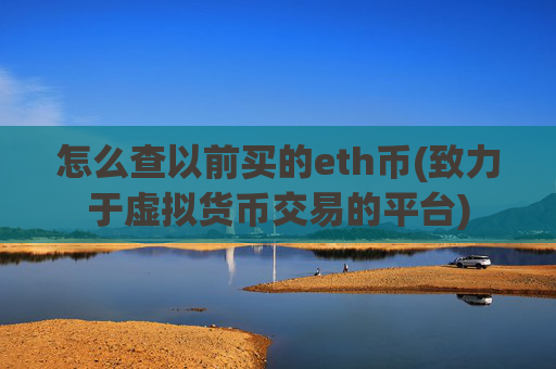 怎么查以前买的eth币(致力于虚拟货币交易的平台)