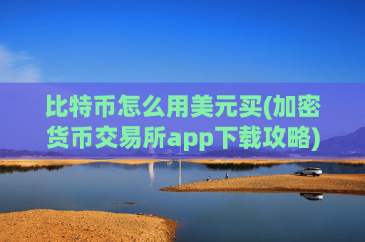 比特币怎么用美元买(加密货币交易所app下载攻略)