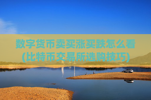 数字货币卖买涨买跌怎么看(比特币交易所选购技巧)