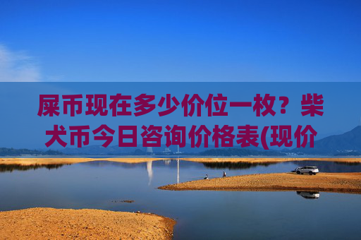 屎币现在多少价位一枚?柴犬币今日咨询价格表(现价0.00022982元)