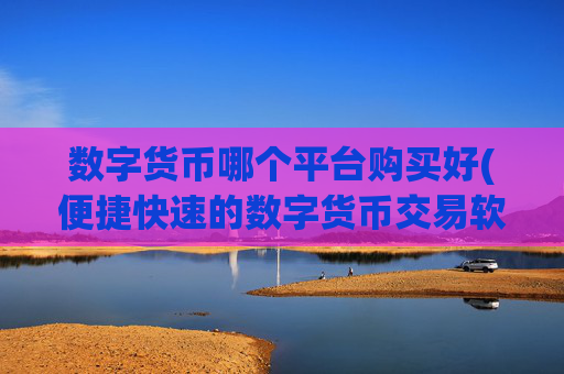 数字货币哪个平台购买好(便捷快速的数字货币交易软件)