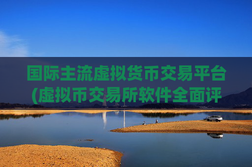 国际主流虚拟货币交易平台(虚拟币交易所软件全面评测)