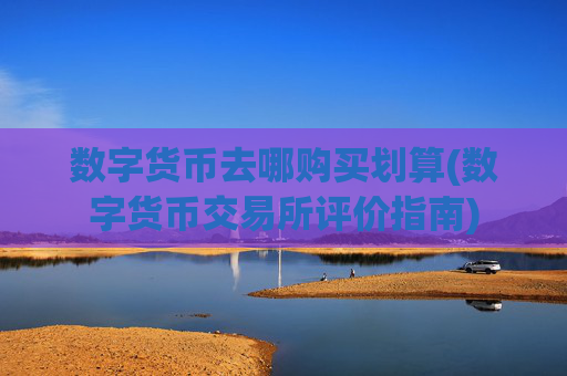 数字货币去哪购买划算(数字货币交易所评价指南)