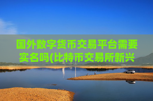 国外数字货币交易平台需要实名吗(比特币交易所新兴)