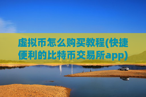 虚拟币怎么购买教程(快捷便利的比特币交易所app)
