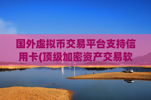 国外虚拟币交易平台支持信用卡(顶级加密资产交易软件)