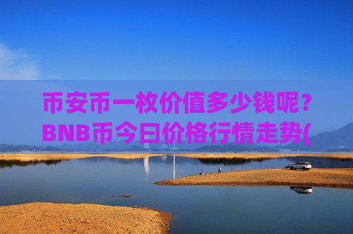 币安币一枚价值多少钱呢？BNB币今曰价格行情走势(现价5253.38元)