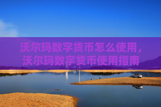 沃尔玛数字货币怎么使用，沃尔玛数字货币使用指南