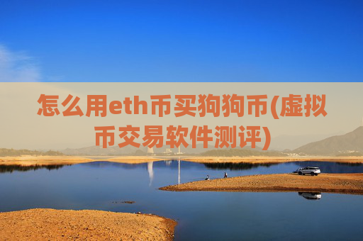 怎么用eth币买狗狗币(虚拟币交易软件测评)